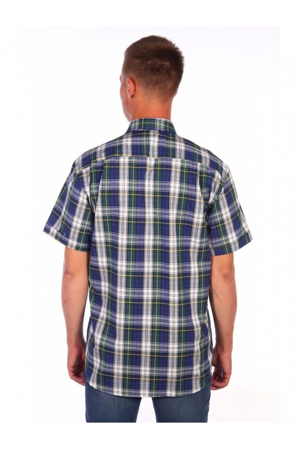 Мужская рубашка шотландка (Модель - rubashka)